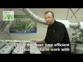 Using Sure To Grow cubes in an NFT hydroponics system