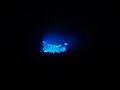 Turboneger p� Stor�s!
