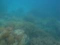 Great Barrier Reef 1