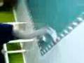 videos de Aprendiendo dance floger!