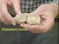 The Fossils of Inner Space Caverns, Texas