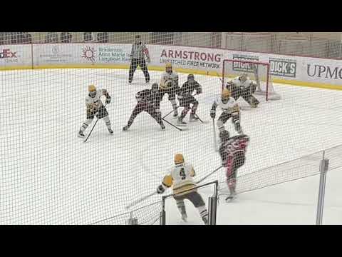Game Video - Pittsburgh Penguins Elite vs Esmark Stars - Mid Am Playoffs 3/9/2024