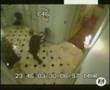Diana - New CCTV