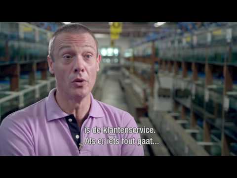 Yves Doumont over Ruinemans Group