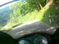 foret noire