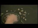Gladiatrix documentary part 2