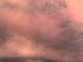 ERSKIN WAX