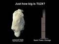 TU24 asteroid - Jan 29 2008 impact?