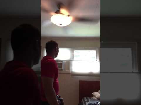 Levolor cordless cellular shades top down bottom up