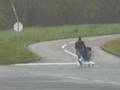 Couse de cadi o cora mdr!