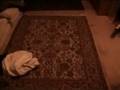 i cleaned my room