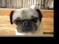 OSCAR\