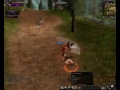 9 Dragons