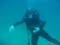 video de mergulho e imagens de arraial TUBARAO RIO - ARRAIAL DO CABO RIO DE JANEIRO Brasil