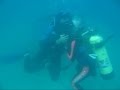 Tubarão Rio curso de mergulho Arraial do Cabo Rio de Janeiro