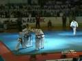 Best of Traditional Taekwon do ITF