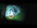 Eotech Holographic sight outside at night with flashlight