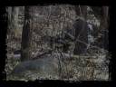 Chives - TRAILER #2 Chives - TRAILER #2