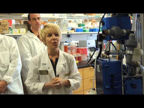 how to isolate bacteria from water