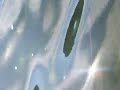 que lindo, belo esporro