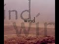 DUST INT THE WIND