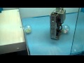 RoboCatcher Humanoid Robot Game at iRex 2009