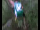 Jaskass Tree Falling