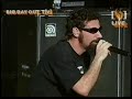 system of a down - chop suey (Live Big Day Out).mpeg