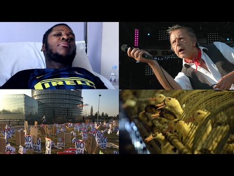 Image de prévisualisation YouTube