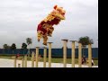 Lion Dance troupe\