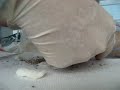 Mummifyin\ Mummifyin\