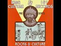 Tommy Clarke Wicked Babylon - King Culture I&I Records Presents Roots & Culture - DJ APR Roots Reggae