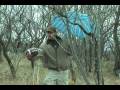 James vs Wild: El Via de Gato del Fuego