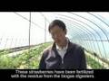 China's Green Beat - Bioenergy in Yunnan