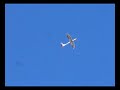 RC sailplanes Graupner Junior S