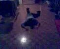 pita the break dance master