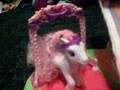 Pony Wedding