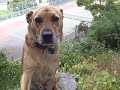 Samson practicing the