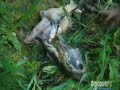 man_vs_wild_alaska_pt_3