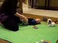 Adorable Baby Link & his Toes Adorable Baby Link & his Toes