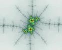 Julia spiral 5