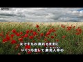 虞美人草 / 長保有紀 Cover:山口えい子(Doenka Eiko) 美人草