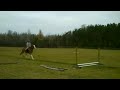 Babe -Jumping : Gymnastic Line
