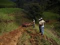 F-350 - Hill Climb- Club 4x4 Panama