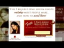 Web Success Diva Portfolio 2008