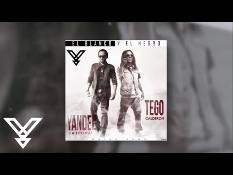 El Blanco Y El Negro ft. Tego Calderon Yandel