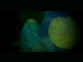 HAREM - CLAP THE BUKA