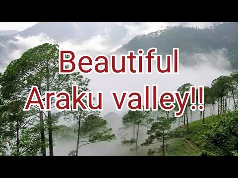 Top places to visit in araku valley || araku valley tour in telugu || travel vlog