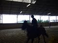 12h35 : CSO inter-membre du club hippique de pollionnay