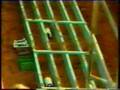 1985 guinea pig racing championship 1985 guinea pig racing championship